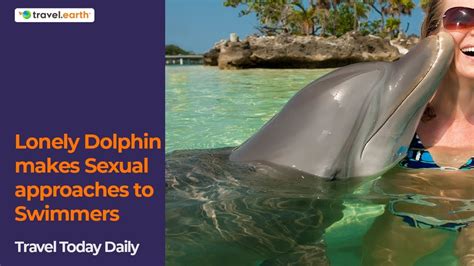 Do dolphins get frisky with humans?