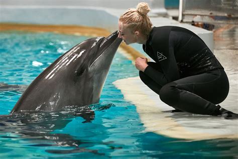 Do dolphins like to play with humans?