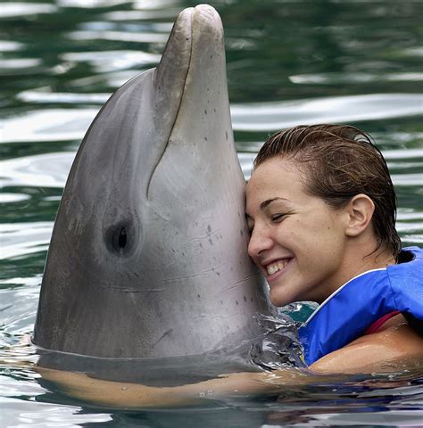 Do dolphins love pregnant woman?