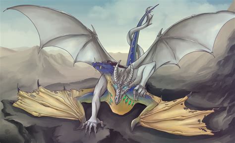 Do dragons have sexes?