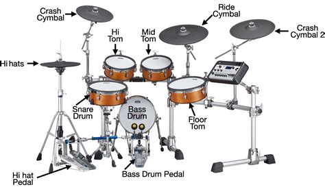 Do drums have harmonics?