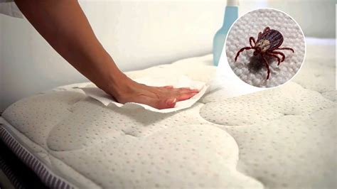 Do dust mites live in old mattresses?