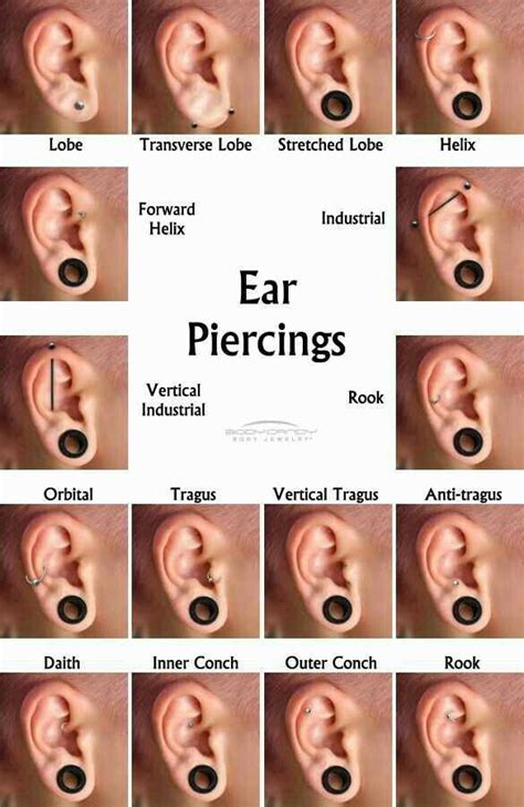 Do ear gauges heal?