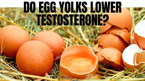 Do eggs block testosterone?