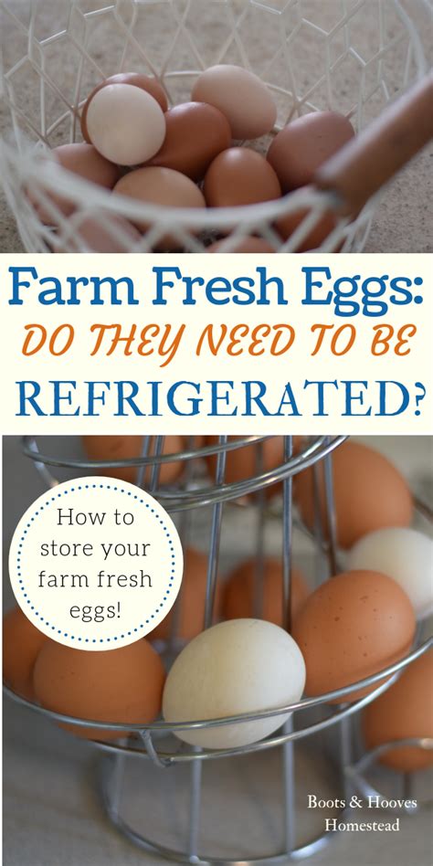 Do eggs need to be refrigerated?