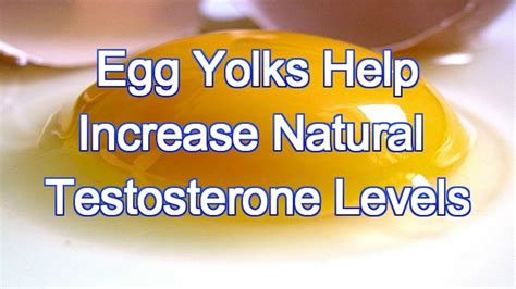 Do eggs raise testosterone?