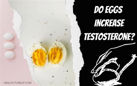 Do eggs spike testosterone?