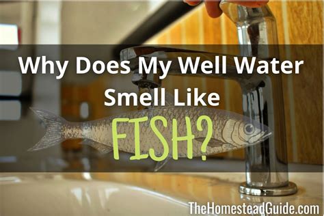 Do electrics smell fishy?