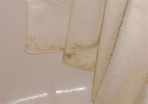 Do fabric shower liners get moldy?