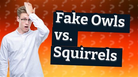 Do fake owls scare squirrels?