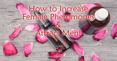Do female pheromones increase testosterone?