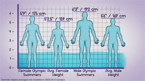 Do female swimmers need to be tall?