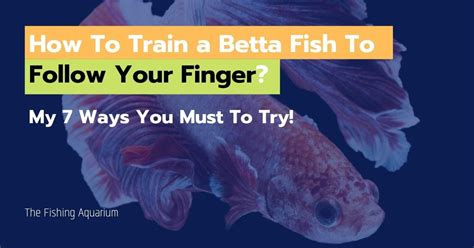 Do fish follow your finger?