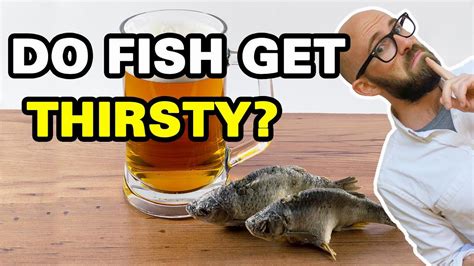 Do fish get thirsty?