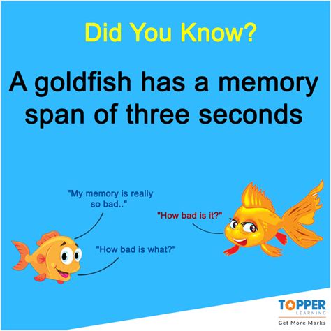 Do fish have a memory of 7 seconds?