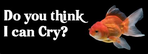 Do fish have thoughts?