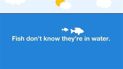 Do fish know they're being caught?