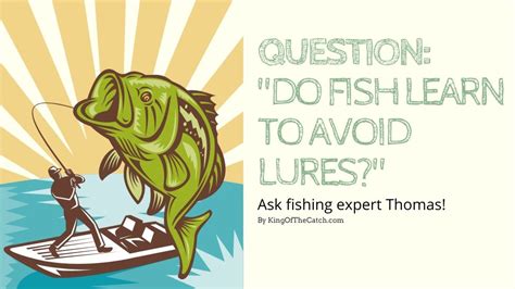 Do fish learn to not get caught?