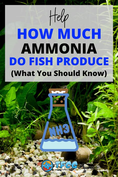 Do fish produce ammonia?