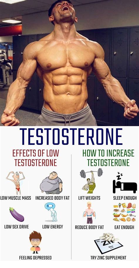 Do fit people have more testosterone?