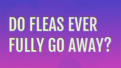 Do fleas ever fully go away?