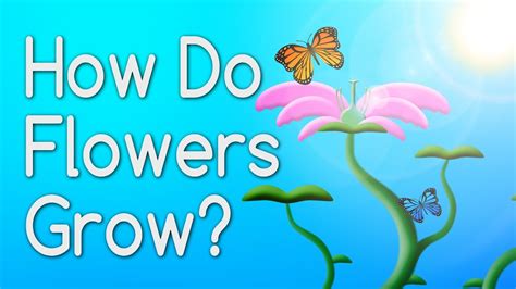Do flowers grow in Canada?