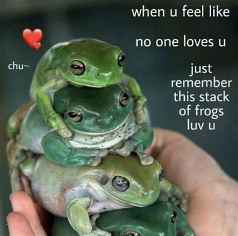 Do frogs love humans?