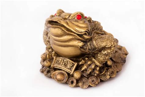 Do frogs symbolize money?