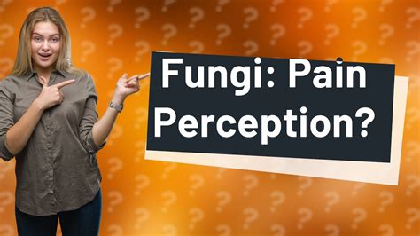 Do fungi feel pain?