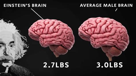 Do geniuses have good working memory?