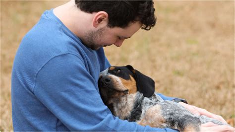 Do girl dogs cuddle more than boy dogs?