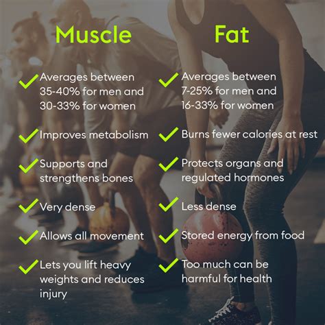 Do girls like fat or muscle?