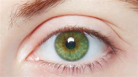 Do green eyes exist?