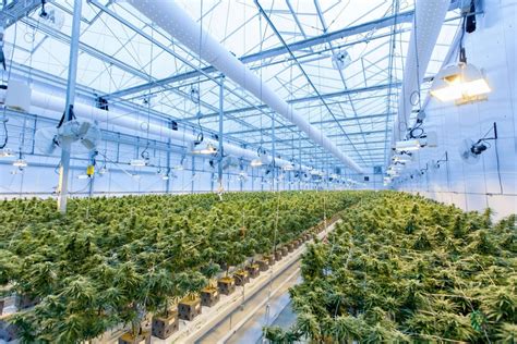 Do greenhouses need to breathe?