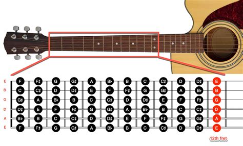 Do guitarists look at the fretboard?