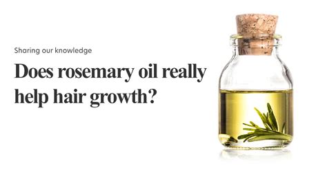 Do hair really need oil?