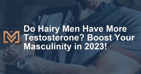 Do hairy guys have more testosterone?