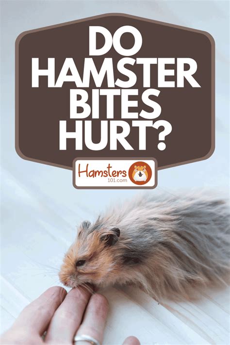 Do hamster bites hurt a lot?