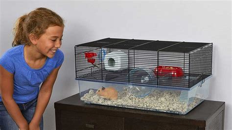 Do hamsters get stressed in cages?