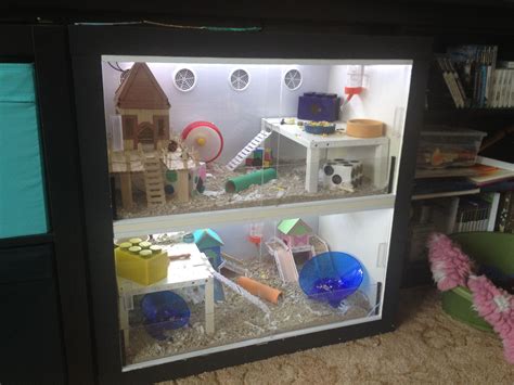 Do hamsters like 2 level cages?