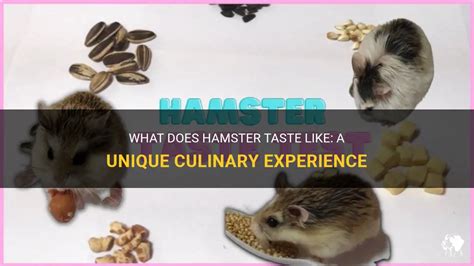 Do hamsters like the taste of olive oil?