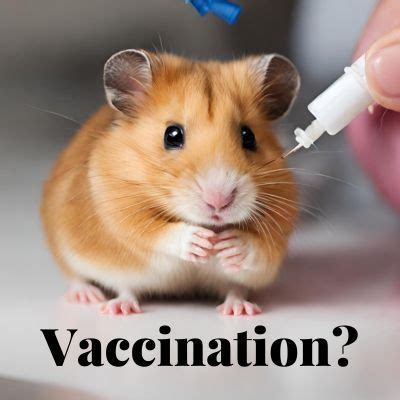 Do hamsters need vaccines?