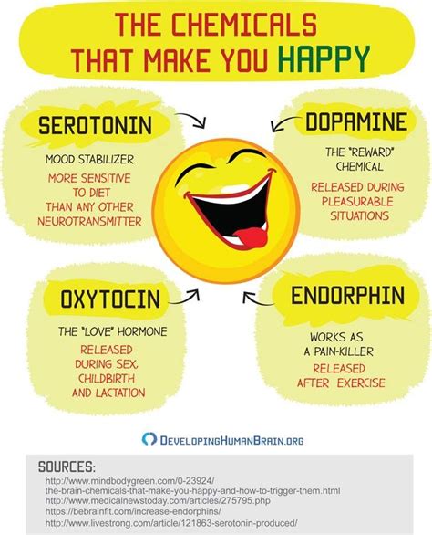 Do happy people have more serotonin?