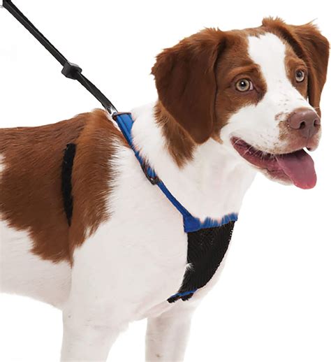 Do harnesses discourage pulling?