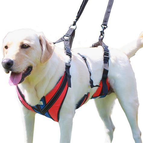 Do harnesses hurt dogs shoulders?