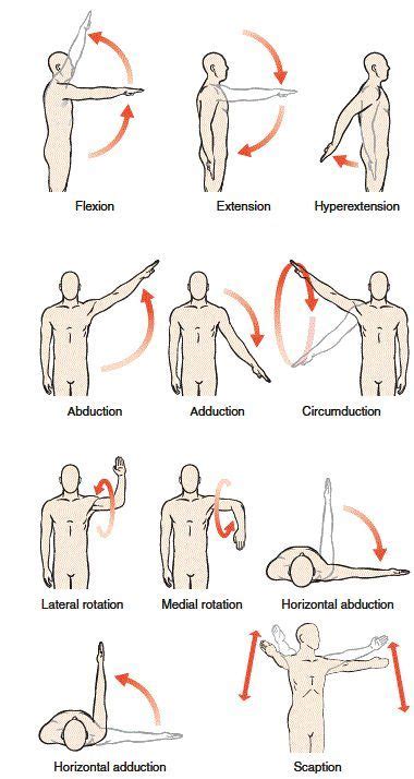 Do harnesses restrict shoulder movement?