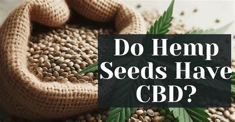 Do hemp seeds have CBD?