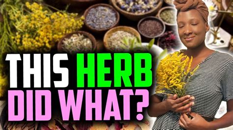 Do herbs really work?