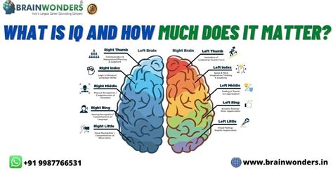 Do high IQ brains look different?