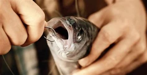 Do hooks rust in fish mouth?